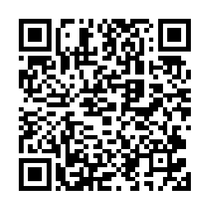 吴凡将秦雪这个图像的西瓜瓤轻轻的放在长长的瓷果盘里二维码生成