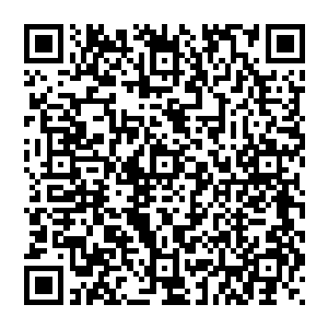 吴虎臣从幽冥鬼谷刀的空间之中取出一块之前准备好的由海域一种普通的草类编制而成的席子做了下来二维码生成