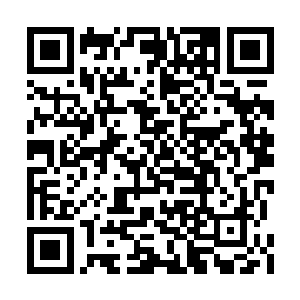 周围的环境在他们的提拔之下开始不断的改变着二维码生成