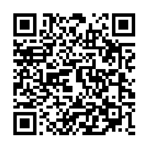 周天宇宙和万药宇宙已经完完全全的成为了一个全新的宇宙二维码生成