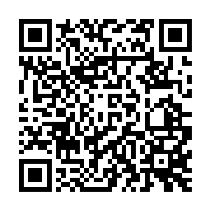 周警长和同伴再进张生办公室的时候态度比第一次谦和了许多二维码生成