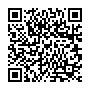 周身所有的吸盘和褶皱就向外不断喷涌着毫无用处的垃圾数据二维码生成