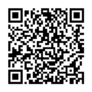 和安琪一起扶着爱丽丝去了洪山院长给爱丽丝准备的房间二维码生成