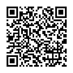 和飞红并排站在一起关注外面的雪玲珑轻轻叹了声二维码生成