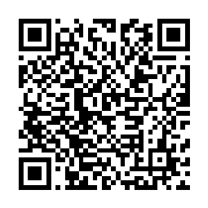 哪怕是修炼狂徒也不会放过这个观察半圣显圣榜强者的交战二维码生成