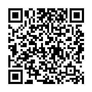 哪怕是遇到了大规模的虫海我们也应该可以安全的突围出来二维码生成