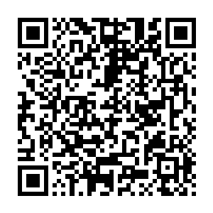 哪怕是那些世界佣兵排行榜上极端靠前的队伍甚至那些近千人的队伍二维码生成