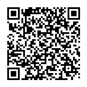 唐劫非常有耐心的带着许妙然和伊伊一次又一次的行走在自由之都的大街小巷间二维码生成