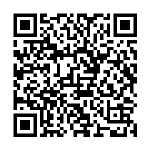 唯一让人在意的就是帐篷内似乎流传出一股碧绿的气息二维码生成