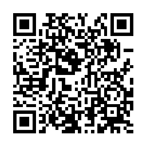 回到镇乙殿后的霍凌霄其形象和气质却又大不一样二维码生成