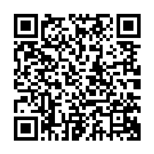 回头从跟在身边的侍从手里接过放在锦盒里的明黄色布帛展开二维码生成