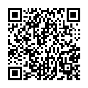 回过头看了一眼用枝叶搭建的帐篷以及里面堆着的水果二维码生成