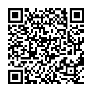 因为中国从那个时代开始执行计划生育制度……不要二维码生成