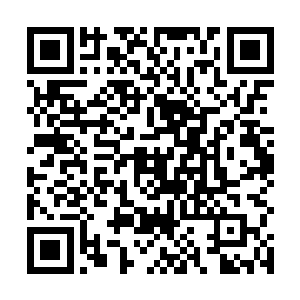 因为他以前在家乡的公交公司里面当过一段时间的司机二维码生成