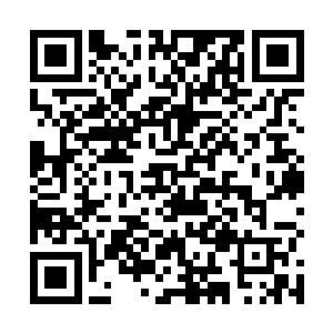 因为他们已然注定不会拥有宗师的理解与经历还有感悟二维码生成