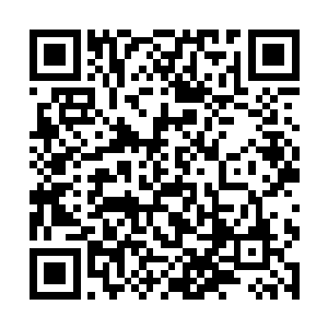 因为仙主作为人族的体质和其他种族比起来是最差的二维码生成