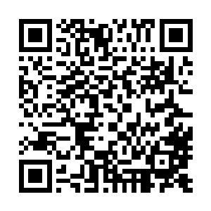 因为原本如同立体影像一动不动的白光眼神突然灵动了起来二维码生成