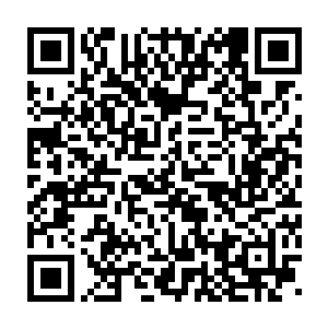 因为当初这些人可是信誓旦旦表示卡卡去了曼城也不会有好果子吃的二维码生成