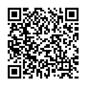 因为昨天的比赛几乎都是lh战队二十分钟推了别人的基地二维码生成