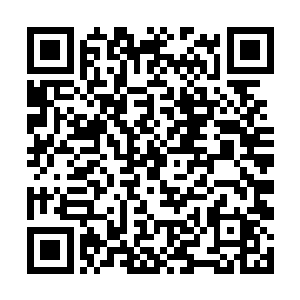 因为杜家拍卖行分行开业一百周年这个噱头实在太大二维码生成