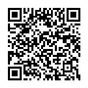 因为现在的北境王任琦宁自称是前朝皇室遗孤啊二维码生成