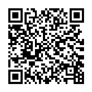 因为睡仙楼我将会改造成综合的大型商业一体化中心二维码生成