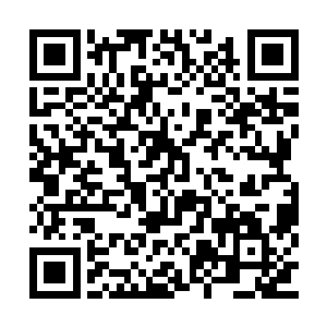 因为紫霞仙子和李雨彤的思维思想是一模一样的二维码生成