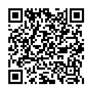 因为经受过长时间训练又有极为丰富的战斗经验二维码生成