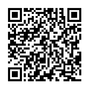 因为这个时候萧天熠和燕王派系根本没有到撕破脸的时候二维码生成