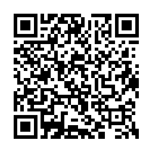 因为这五个数字所蕴含的意义实在是太不简单了二维码生成