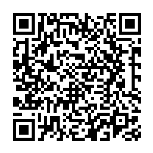 因为这女子的样子竟然和自己在地球上小时候母亲的印象一般无二二维码生成