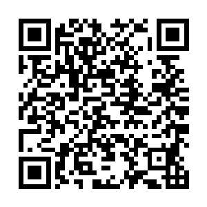因为这护身玉简是凤仙子用数百年修为凝聚而成的化身二维码生成