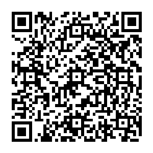 因为那意味着它们就这样在无边无际甚至连尘埃都没有的地方孤独了悠久漫长的岁月二维码生成