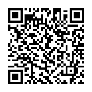 国内的导演们丢掉了自己过去的一贯风格和电影思路二维码生成