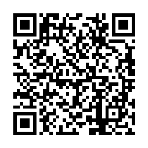 在一些看似安全的区域……绿洲边缘的小湖泊里面二维码生成