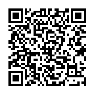 在一众穿着长衣长裤的人群中显得特立独行的女人二维码生成