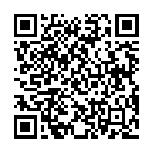 在之前的战斗之中他还只是一个只懂得使用蛮力的武夫二维码生成
