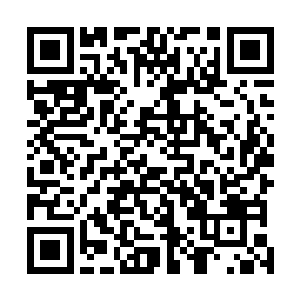 在他幼儿时期他对嘛嘛宝藏的感觉是数不尽的粮食和牛羊二维码生成
