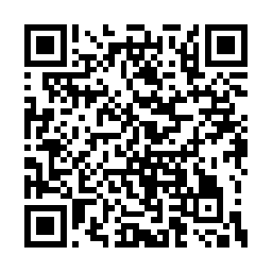 在他的神识感应中这里最强的便是绝世仙王强者二维码生成