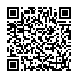 在刚才他们一说起那个张家大小姐的身份的时候二维码生成