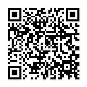 在后来的最后一次大战中设法最大消耗了白角族实力二维码生成