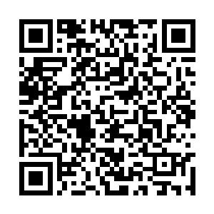 在吞噬伏羲数据碎片的战斗中最终觉醒的信息生命二维码生成