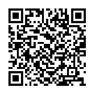 在和白素仙带着一干弟子们在这里转完一圈之后二维码生成