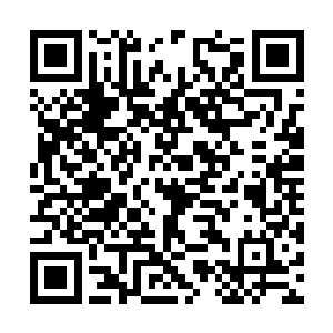 在国外男子的脸上不由的浮现出了一抹狰狞的色彩二维码生成