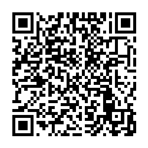 在场的一人一猫表现的正常到如果有人觉得奇怪的话才会让人觉得他在大惊小怪二维码生成