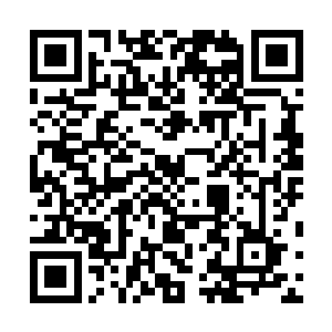 在完全没有遮拦的旷野上朝着这边城堡潮水般的涌过来时二维码生成