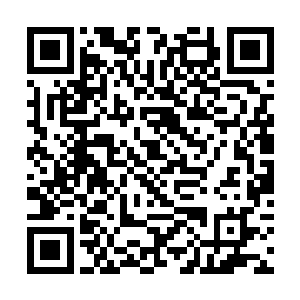 在小九出现的那一刻他们便是注意着这边的一举一动二维码生成