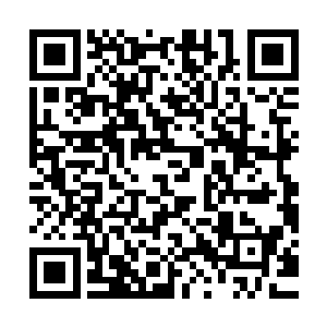 在张铁安静修理吸收着的炼狱轮回炼化的魔族骑士的脉轮的时候二维码生成