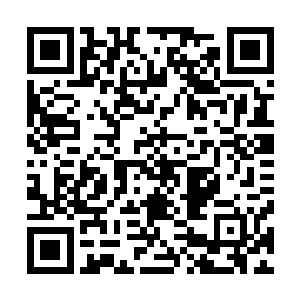 在执行穿越而来的那个大任务时她可从来没有打算过要用色二维码生成