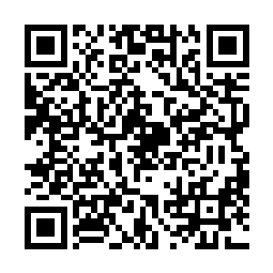 在整个准备的过程中他们还要时刻提防来自金钱豹的威胁二维码生成